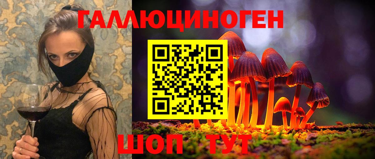 Псилоцибиновые грибы GOLDEN TEACHER  Вход с VPN  Вязники 